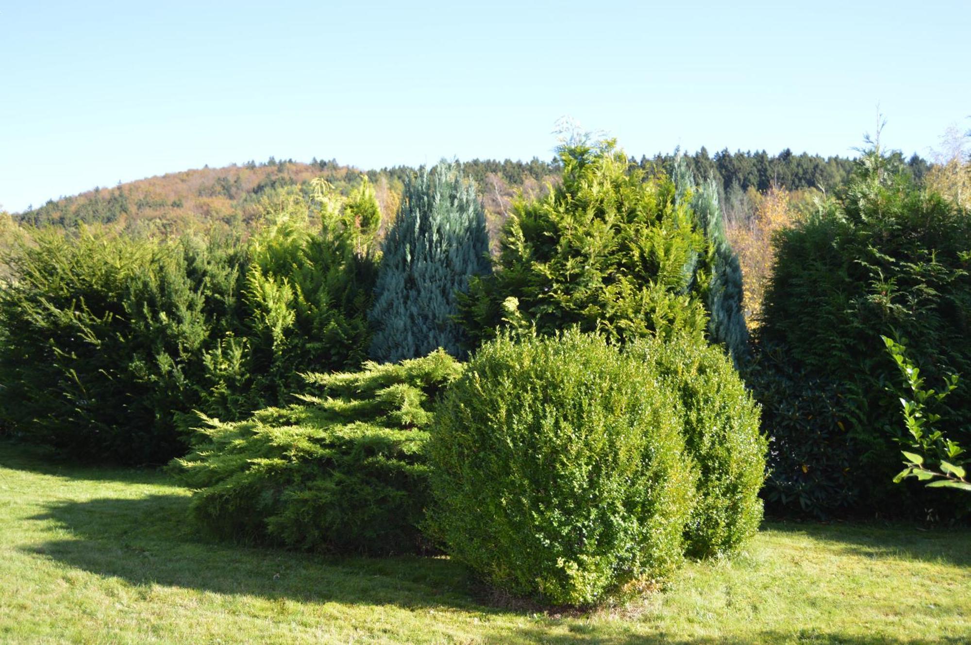 J Lägenhet Kreuztal Exteriör bild